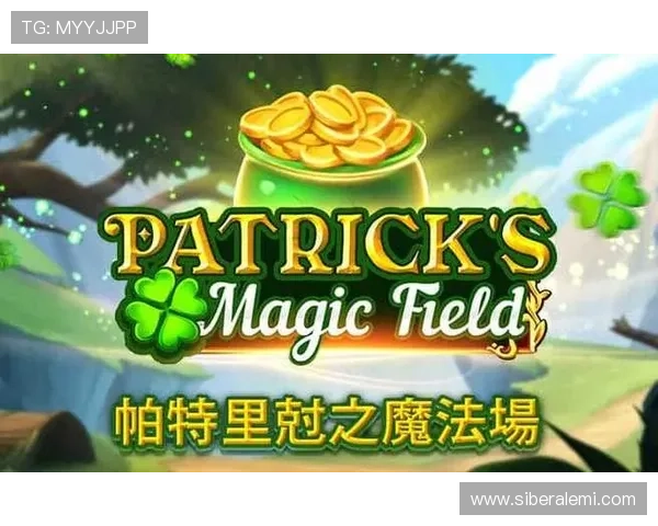 选择K8.com凯发网投平台的五大理由帮助玩家提升游戏体验与资金安全保障