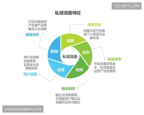 透视觊发k8娱乐的市场策略，如何精准把握用户需求